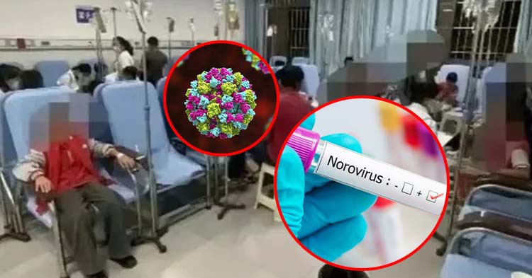  មកដឹងអំពីមេរោគ Norovirus ដែលកំពុងផ្ទុះឆ្លងលើក្មេងៗនៅចិន រហូតសាលាមួយចំនួនត្រូវផ្អាករៀនក្នុងថ្នាក់បណ្ដោះអាសន្ន